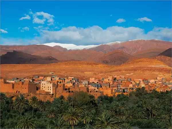 Moroccan Oasis
