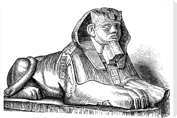 Sphinx. Vintage engraving of the Sphinx