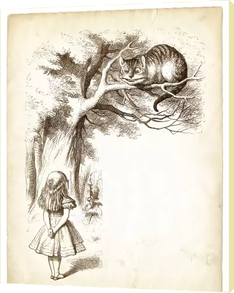 Alice and the Cheshire cat engraving 1898