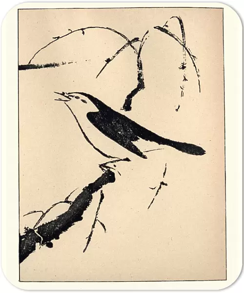 Japanese Art, Bird by Shunboku