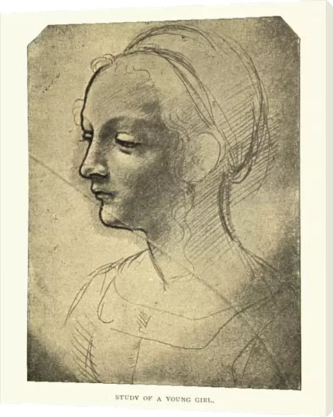 Study of a young girl by Leonardo Da Vinci