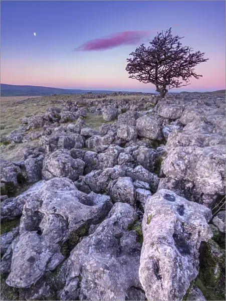Limestone sunrise. Yorkshire Dales. UK