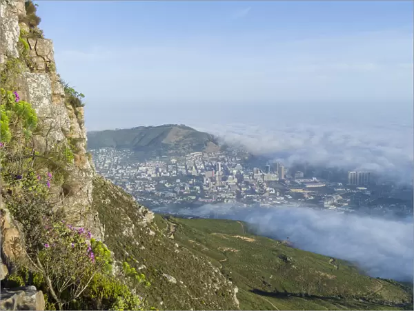 View of clouds rolling over downtown from Devils Peak, Table Mountain National Park, Cape Town, Western Cape Province, South Africa