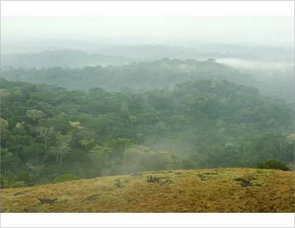 Africa, Color Image, Day, Forest, Gabon, High Angle View, Horizontal, Inselberg, Landscape