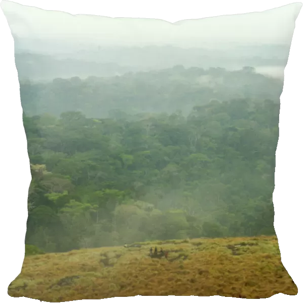 Africa, Color Image, Day, Forest, Gabon, High Angle View, Horizontal, Inselberg, Landscape