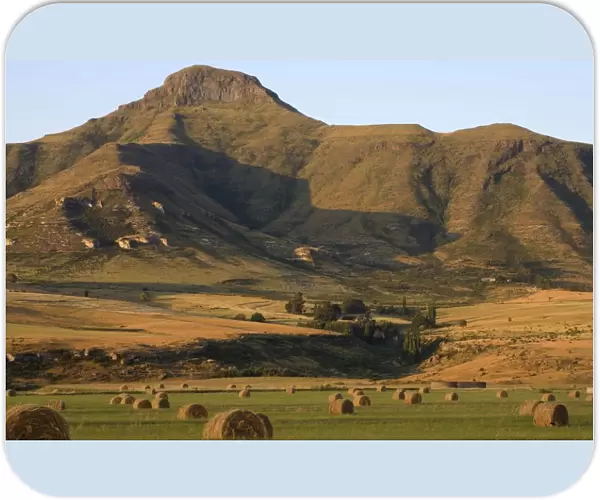 Round Hay Bales in Field with Maluti Mountain Range Behind. Clarens, Freestate Province, South Africa