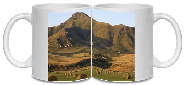 Round Hay Bales in Field with Maluti Mountain Range Behind. Clarens, Freestate Province, South Africa