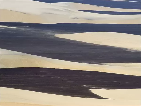 Desert Landscape - Aerial View