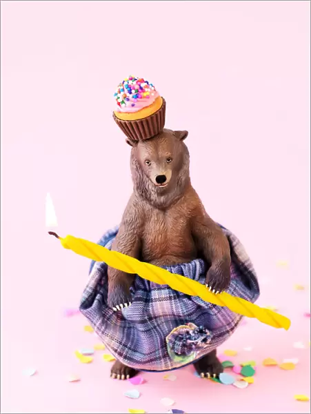 Toy grizzly bear in a skirt at a party