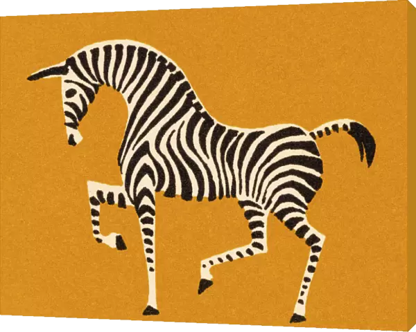 Prancing Zebra