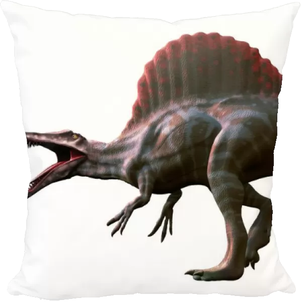Artwork of a spinosaurus dinosaur