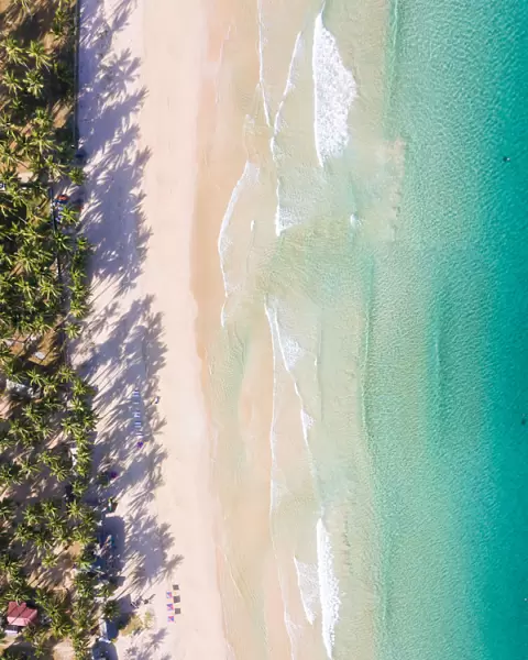 Aerial view of palm fringed beach, El Nido, Philippines