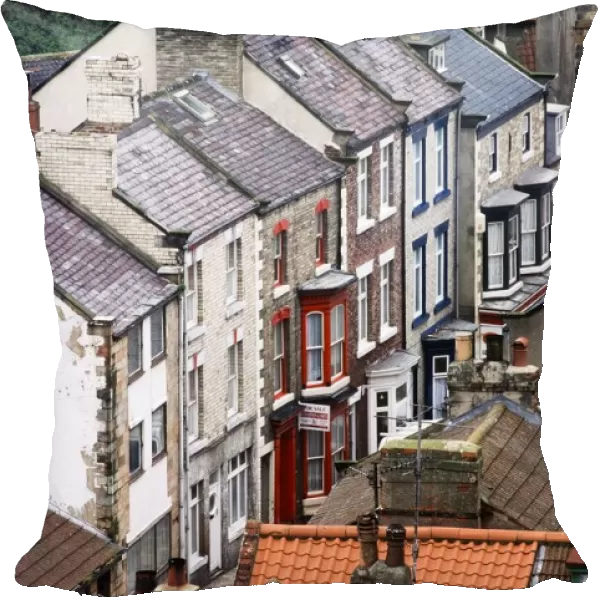 View of houses, Staithes, North York Moors, England