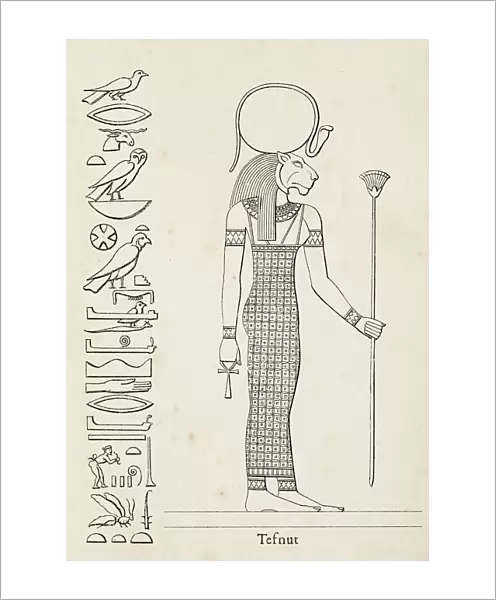 Ancient egyptian hieroglyph of Tefnut deity of moisture