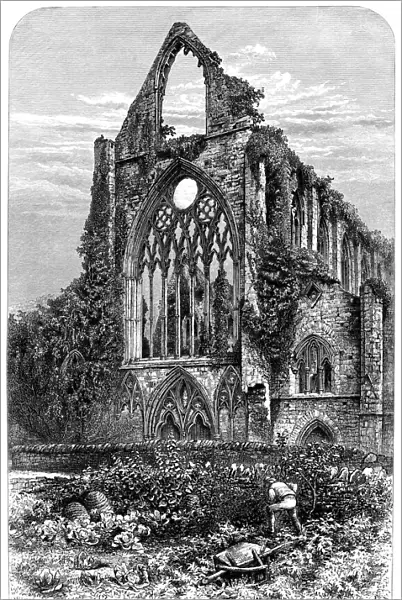 West Front of Tintern Abbey, Monmouthshire, Wales