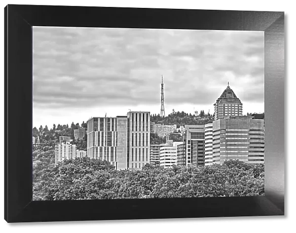 Monochrome Portland Cityscape