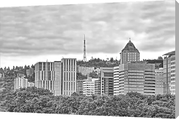 Monochrome Portland Cityscape