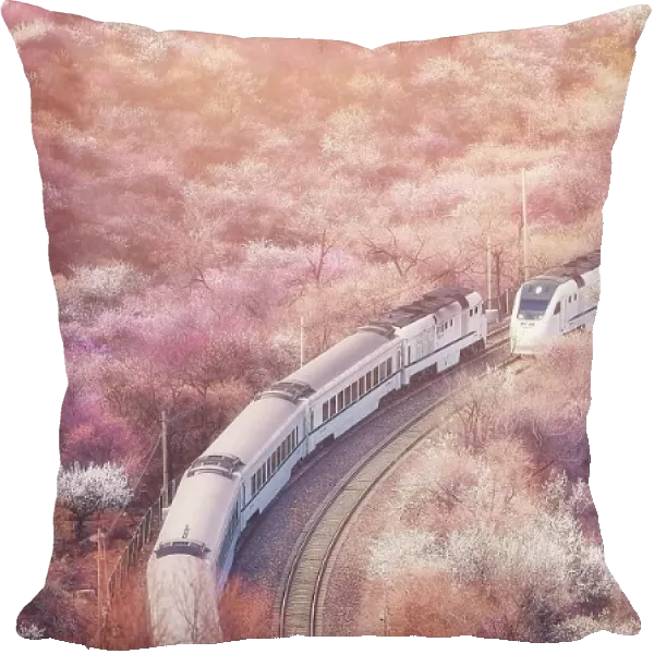 Sakura train