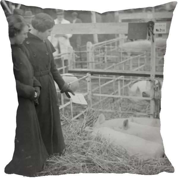 Two ladies admiring the pigs at the Dartford Fat Stock show. 1935