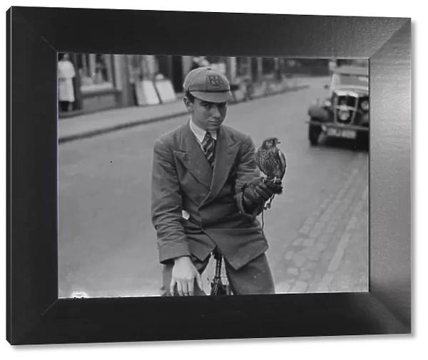 Boy with tame bird, Sidcup. 1937
