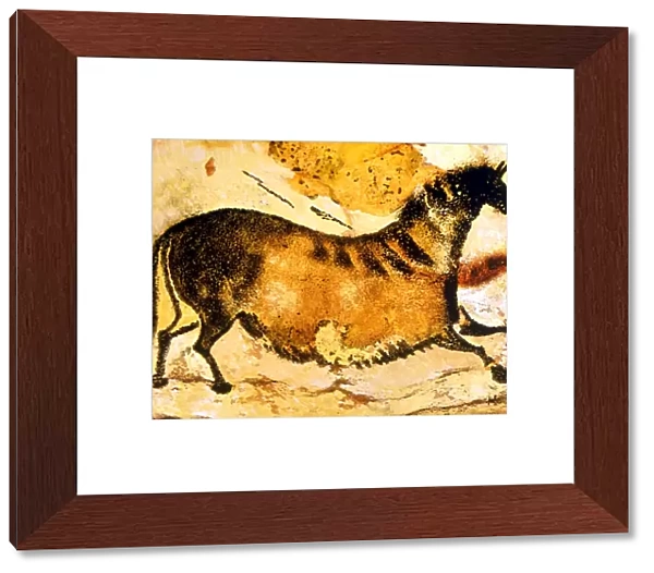CAVE PAINTINGS AND DRAWINGS. Prehistoric cave painting of Horse from Lascaux (Axial