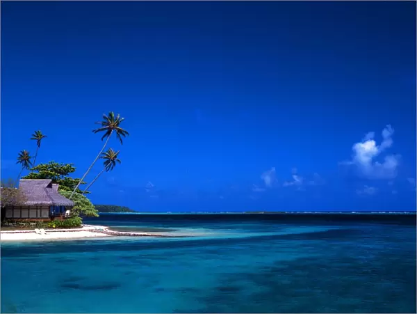 Tropical beauty. Tahiti Group. Morea Island
