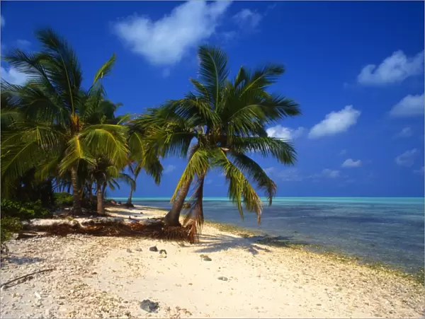 One of the atol islands of the Lakshadweep Islands [Indian Ocean], near Bangaram