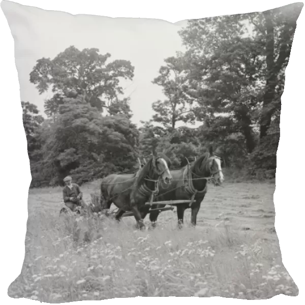 Farm worker with a horse team cutting hay in North Cray, Kent. 1935