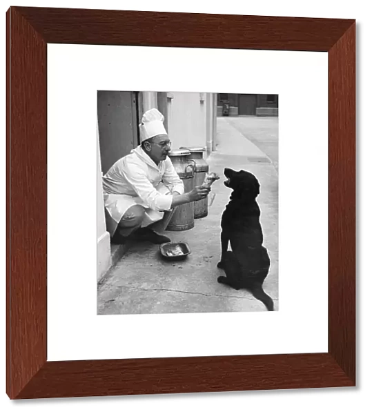 Chef Andrew Schillar gives a dog a bone from the side entrance of his kitchen. undated
