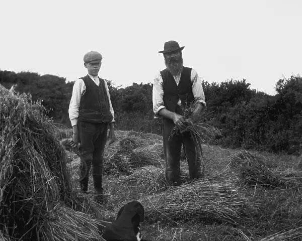 Crowgey Farm, Ruan Minor, Cornwall. 1904