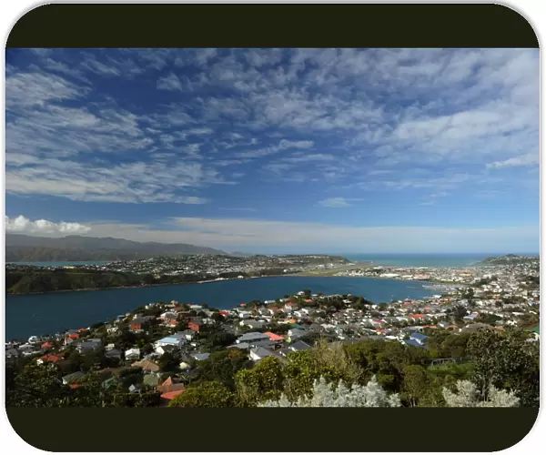 New Zealand-Wellington-View