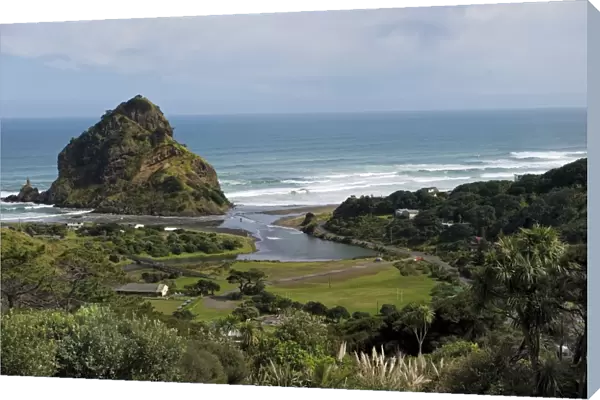 New Zealand-Nature-Piha Beach