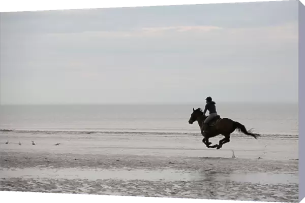 France-Lifestyle-Horse-Riding