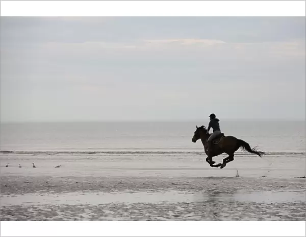 France-Lifestyle-Horse-Riding