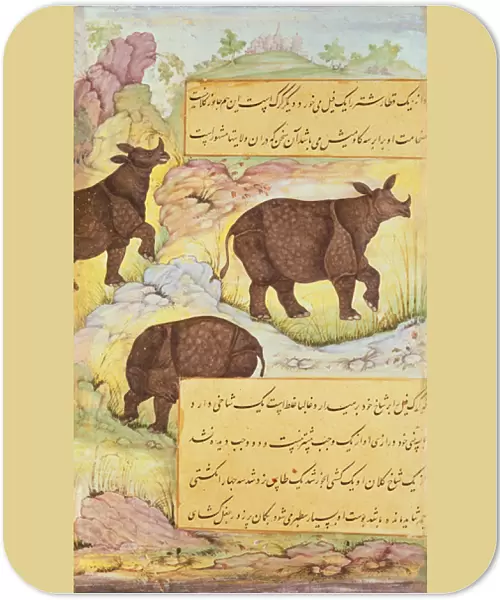 Rhinoceros, illustration from the Baburnama (The Memoirs of Babur) 1589-90