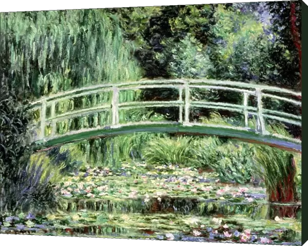 White Waterlilies, 1899 (oil on canvas)
