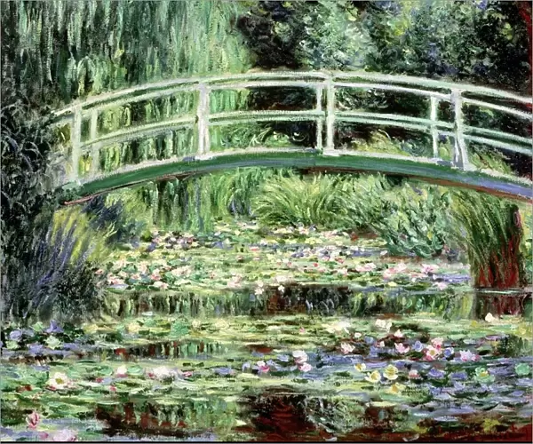 White Waterlilies, 1899 (oil on canvas)
