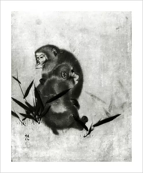 Monkeys (b  /  w photo)