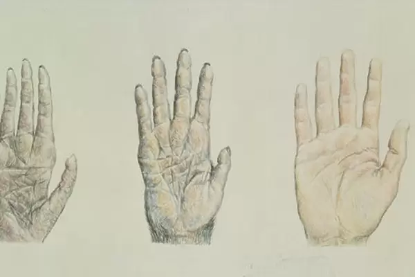 Hands of a primate and a human (pencil on paper)