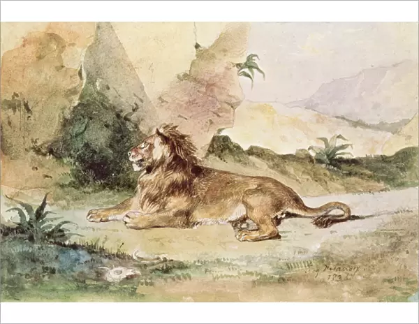 A Lion in the Desert, 1834 (w  /  c on paper)