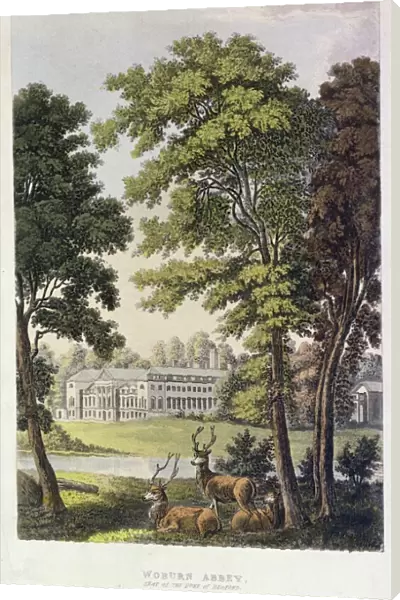 Woburn Abbey, from Ackermanns Repository of Arts, 1828 (colour litho)