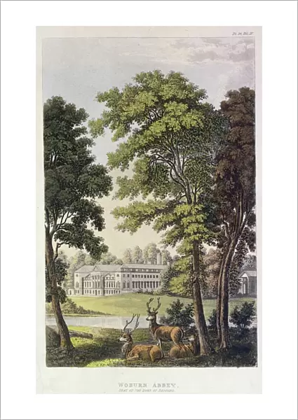 Woburn Abbey, from Ackermanns Repository of Arts, 1828 (colour litho)