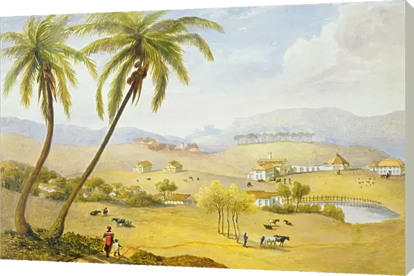 Haughton Court, Hanover, Jamaica, c. 1820 (w  /  c on paper)