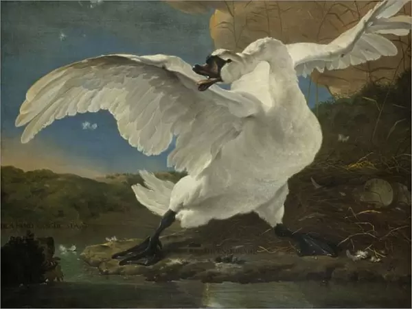 The Threatened Swan, c. 1650 (oil on canvas)