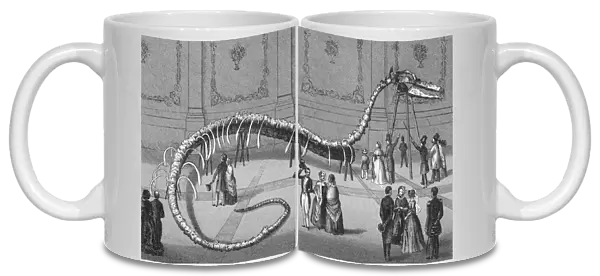 114 foot long Skeleton of Fake Sea Serpent Hydrarchos harlani, c. 1845 (etching)