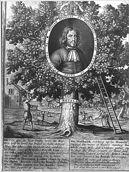 William Pendrill and the Boscobel Oak, c. 1700 (engraving)