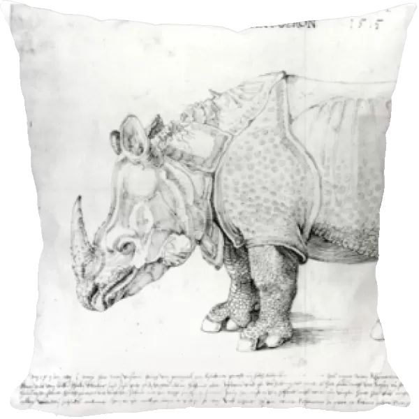 Rhinoceros, 1515 (pen & ink on paper)