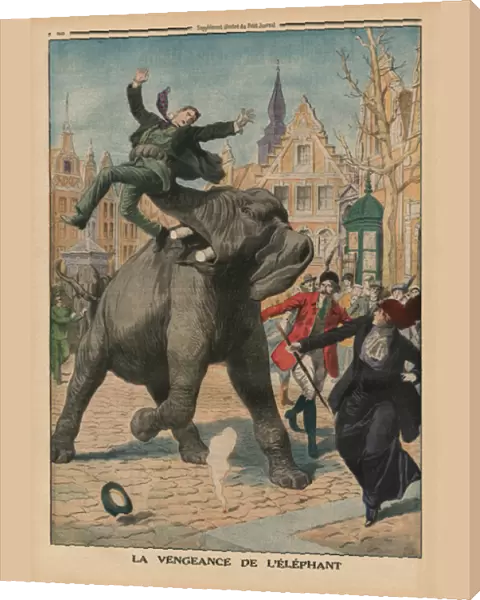 Revenge of an elephant, back cover illustration from Le Petit Journal, supplement illustre