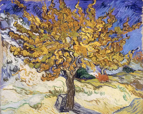 Mulberry Tree, 1889 (oil on canvas)