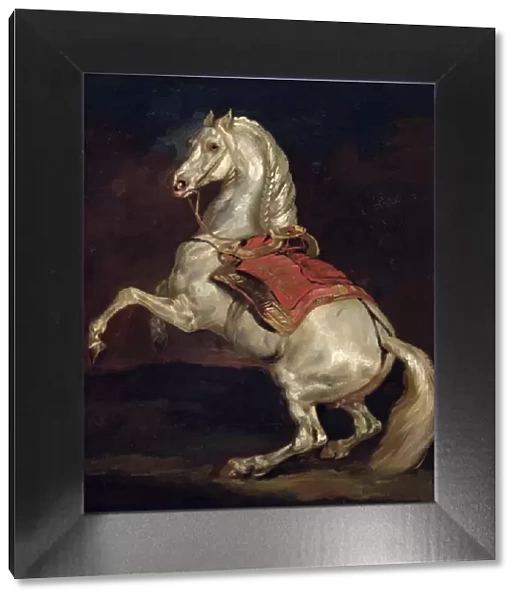 Napoleons Stallion, Tamerlan (oil on canvas)